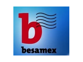 Besamex Logo