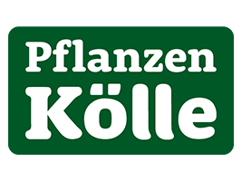 Pflanzen Kölle